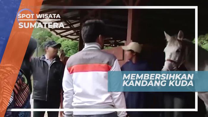 Membersihkan Kandang Kuda, Pengalaman Unik di Kota Medan