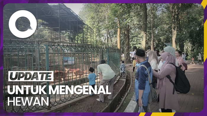 Alasan Warga Pilih TMS Ragunan Jadi Destinasi Wisata di Libur Lebaran