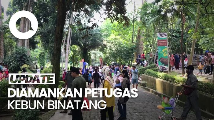 Banyak Anak Tersesat di Ragunan Imbas Membludaknya Pengunjung