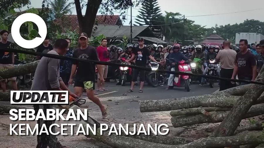  Pohon Tumbang, Jalur Tasikmalaya-Bandung Sempat Lumpuh Total