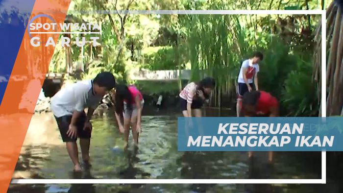 Seru-seruan Menangkap Ikan di Kolam Penginapan, Garut