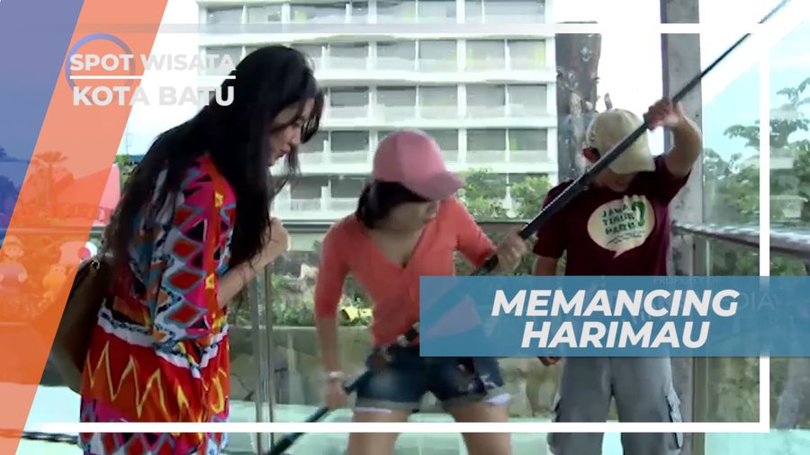 Seru dan Menegangkan Memberi Makan Harimau Putih Dewasa, Malang