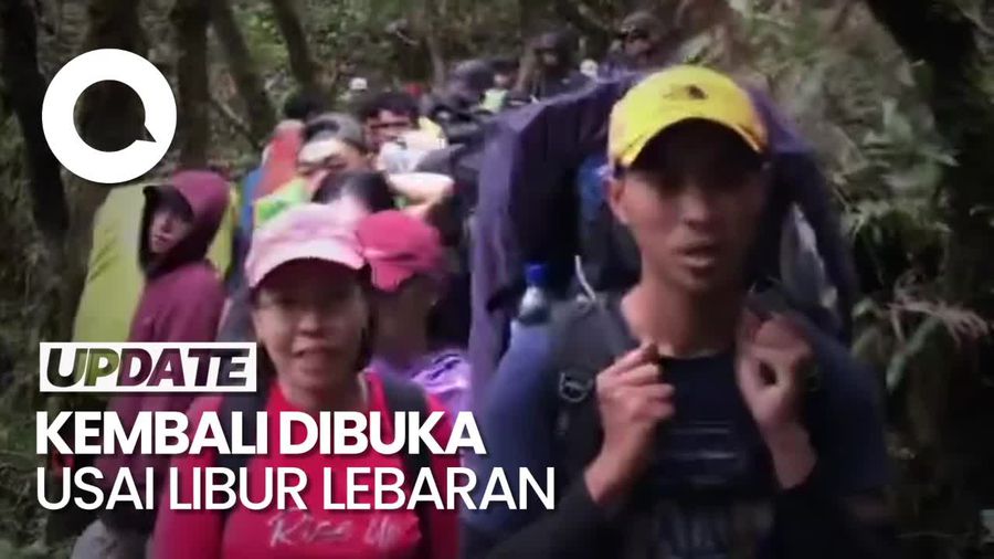 Viral! Gunung Gede Diserbu Pendaki, Jalur Pendakian Macet