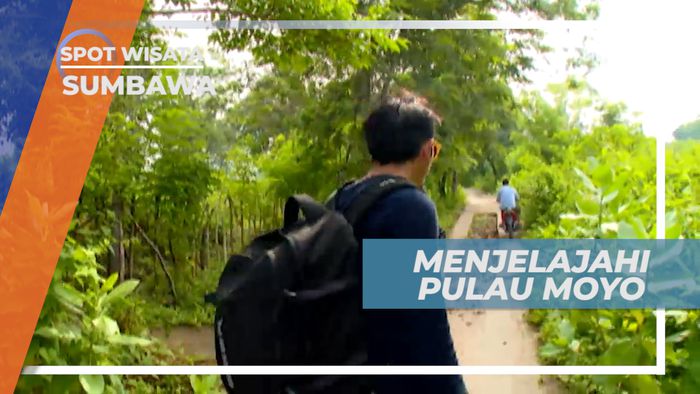 Pulau Moyo, Menjelajahi Surga Tersembunyi di Utara Pulau Sumbawa