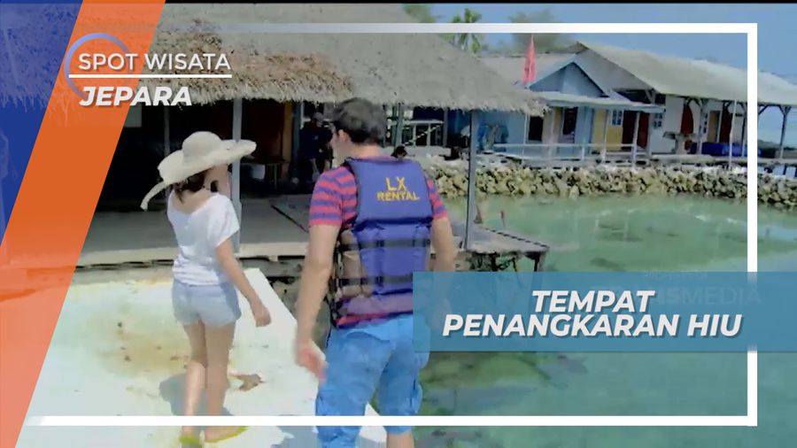 Mengunjungi Tempat Penangkaran Predator Laut, Jepara