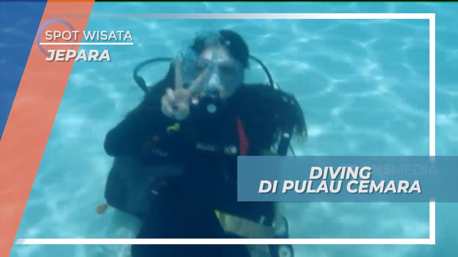 Menjelajahi Indahnya Pesona Bawah Laut Pulau Cemara yang Eksotis, Jepara