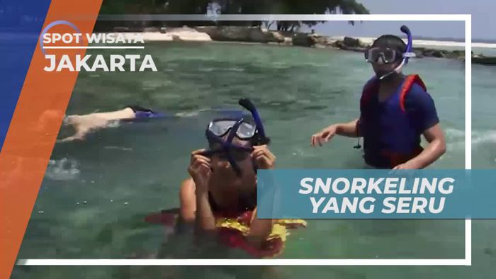 Snorkeling Menikmati Keindahan Bawah Laut Pulau Semut Kecil Jakarta