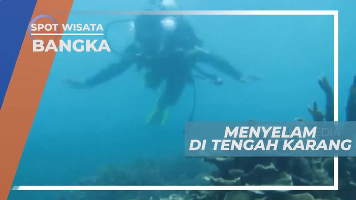 Snorkeling Menikmati Keindahan Bawah Laut Bangka