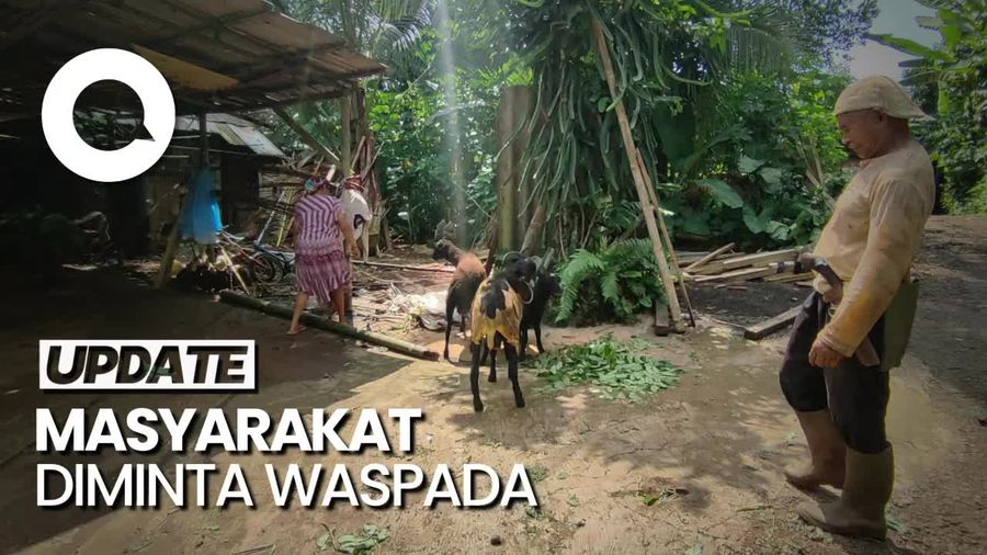 Kawanan Anjing Mangsa Belasan Ternak Resahkan Warga Ciamis