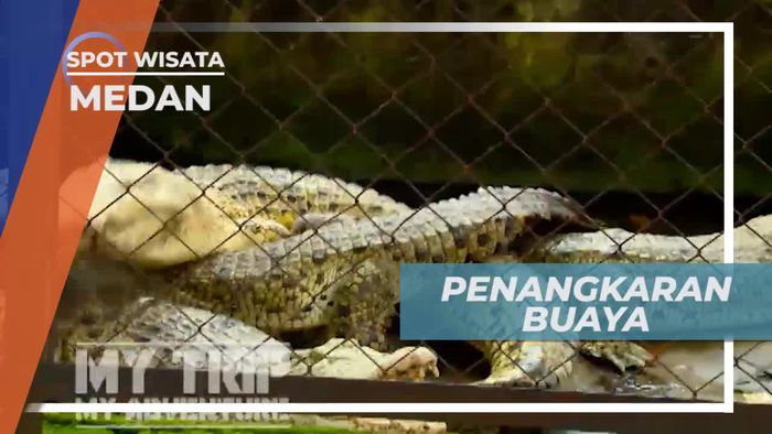 Berkunjung ke Penangkaran Buaya di Kota Medan