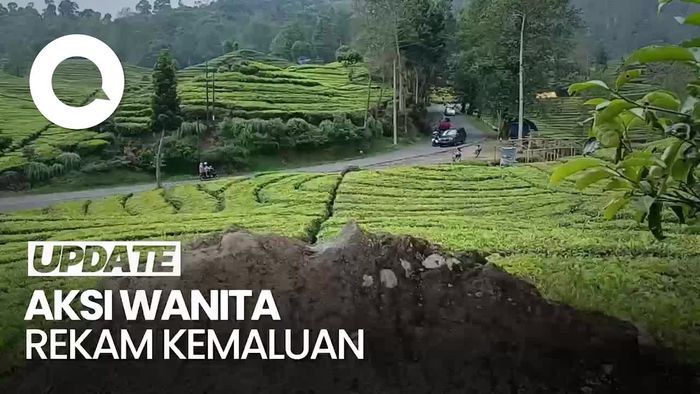 Ini Lokasi Wanita yang Rekam Kemaluannya di Kebun Teh Ciwidey