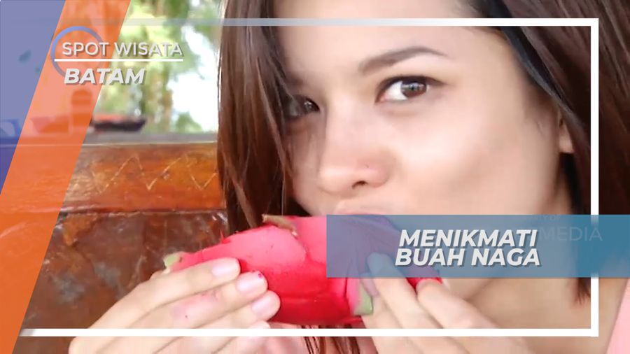 Menikmati Manisnya Buah Naga yang Kaya Akan Vitamin, Batam