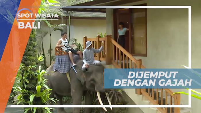 Pengalaman Seru, Dijemput Gajah Tepat di Depan Kamar Hotel, Bali