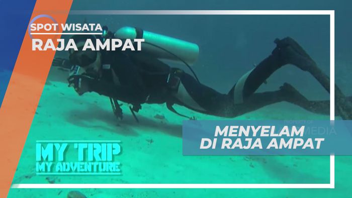 Menjelajahi Indahnya Surga Bawah Laut di Ujung Timur Indonesia, Raja Ampat