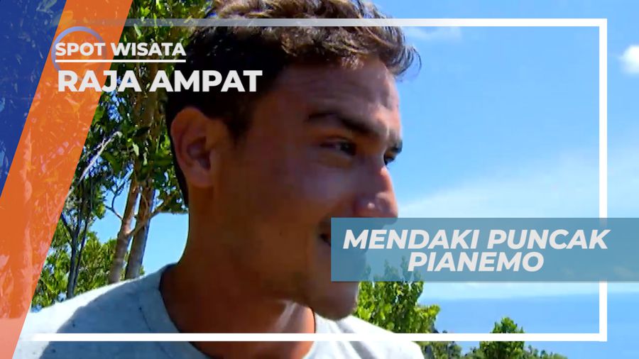 Puncak Pianemo, Mendaki Puncak Pulau Karang yang Menakjubkan, Raja Ampat