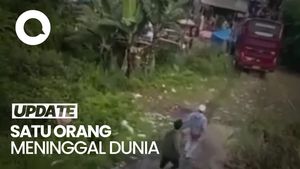 Detik-detik Bus Nyelonong ke Jurang di Guci Tegal