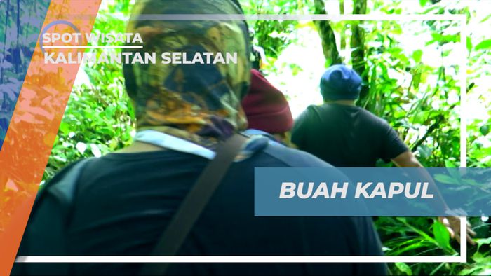 Mencoba Sensasi Rasa Buah Kapul di Hutan Kalimantan Selatan