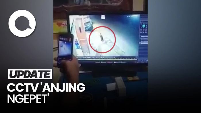 Rekaman CCTV Anjing Ngepet Hebohkan Warga di Gowa Sulsel