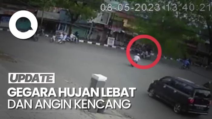Detik-detik Pengemudi Ojol Tewas Tertimpa Pohon Tumbang
