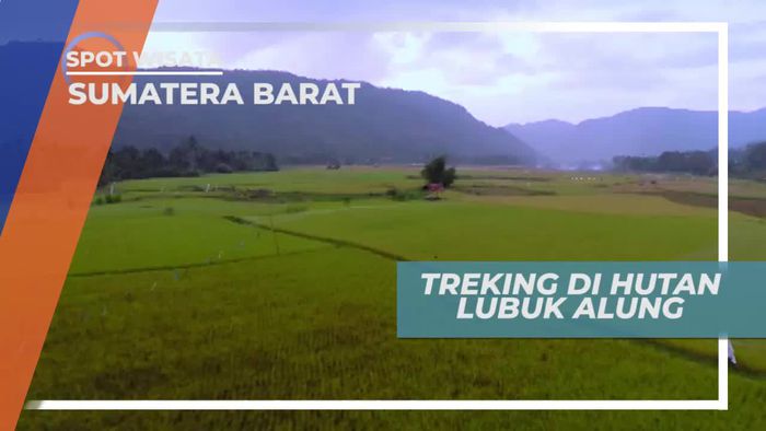 Trekking di Hutan Lubuk Alung Menuju Air Terjun Nyarai Sumatera Barat