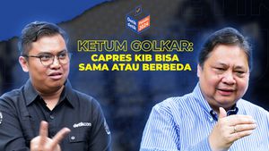 Ketum Golkar: Capres KIB Bisa Sama atau Berbeda