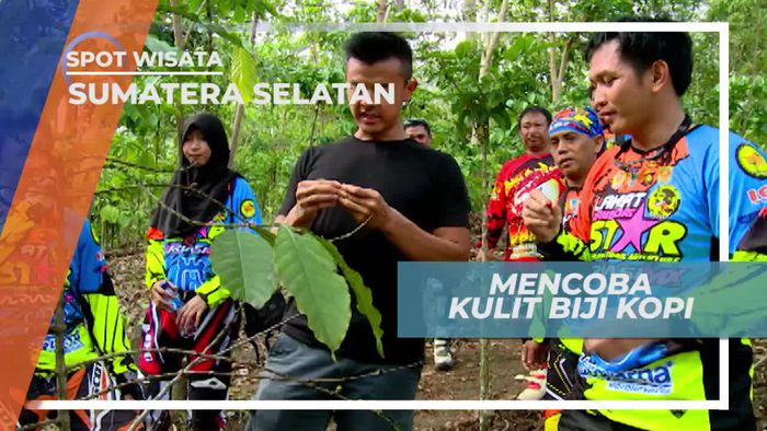 Mencicipi Kulit Biji Kopi di Perkebunan Sumatera Selatan