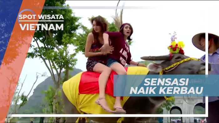 Seru-seruan Naik Kerbau di Hoa Lu Ancient Citadel Vietnam