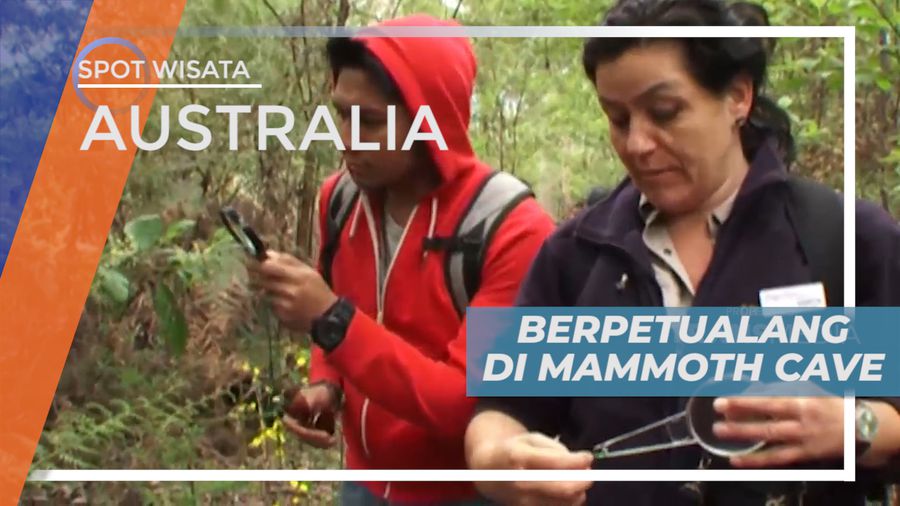 Berpetualang di Mammoth Cave Berburu Bunga Liar Khas Benua Hijau, Australia