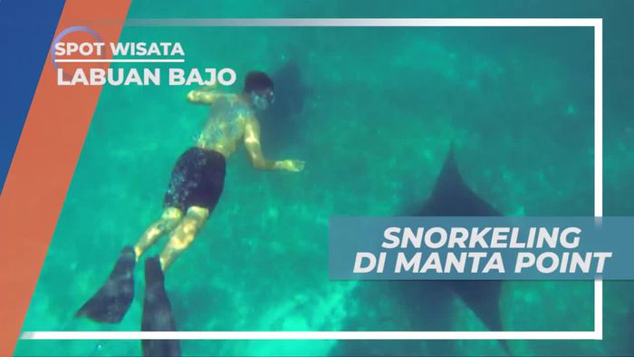 Snorkeling Menikmati Keindahan Bawah Laut Labuan Bajo