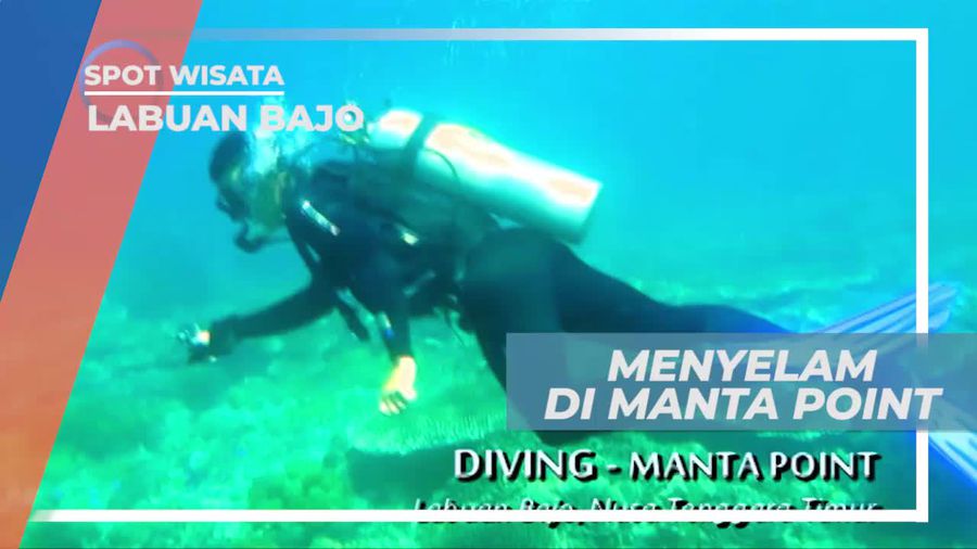Menyelam Menyapa Biota Laut Labuan Bajo
