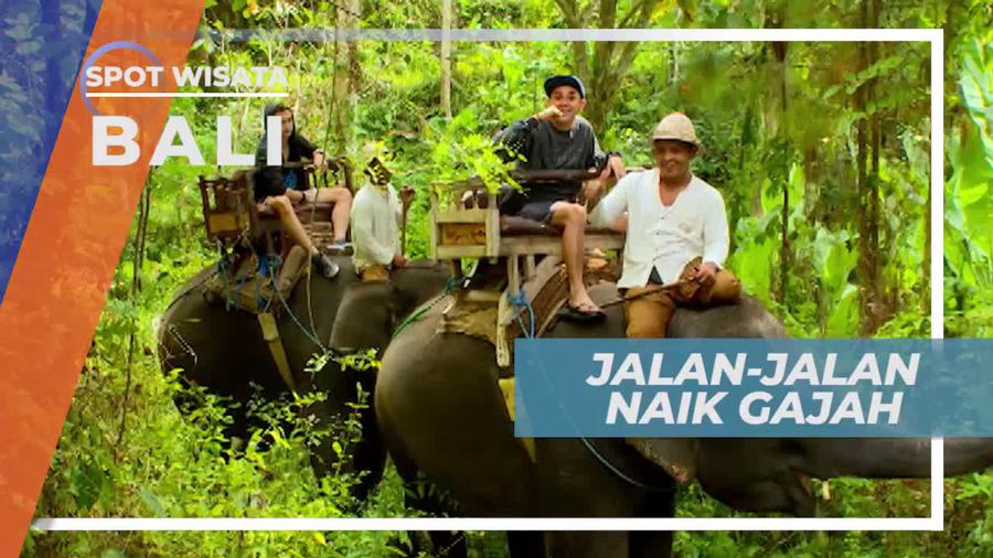 Jalan-jalan Menyusuri Hutan Dengan Naik Gajah, Bali