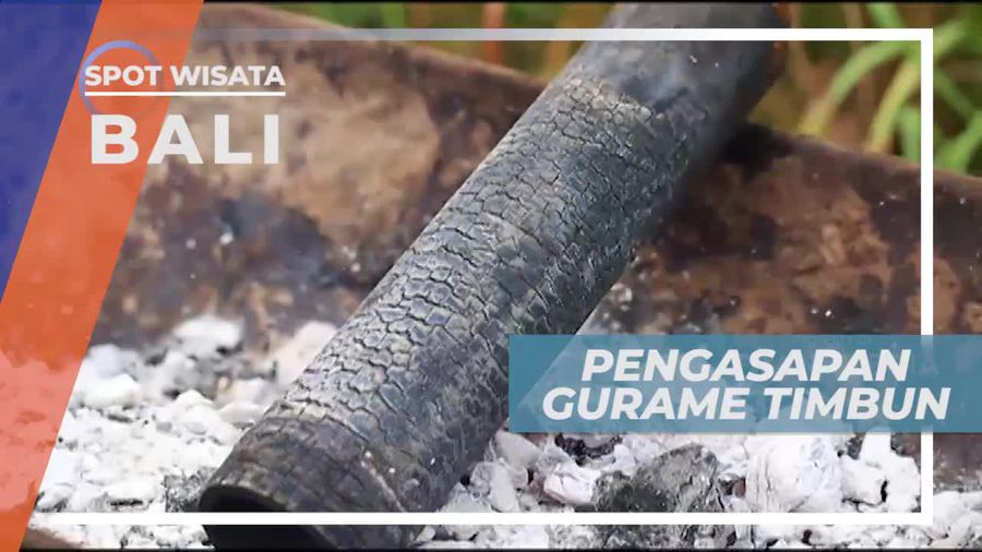 Melihat Pengasapan Gurame Timbun Bali