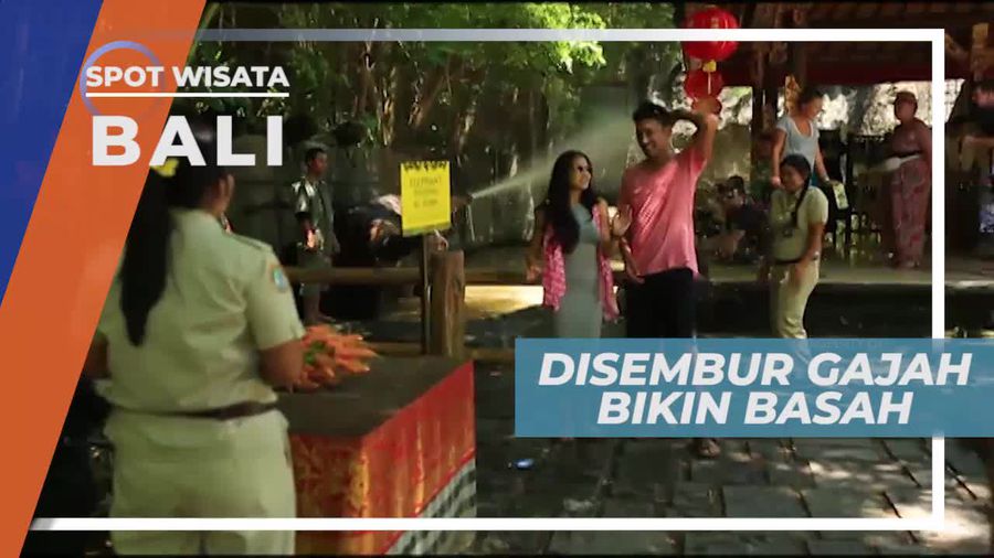 Momen Lucu Disembur Gajah di Kawasan Wisata Bali