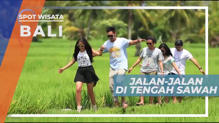 Menikmati Keindahan Hamparan Sawah di Ubud Bali