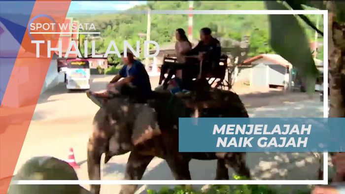 Naik Gajah Menjelajahi Kawasan Maetaman Elephant Camp Thailand