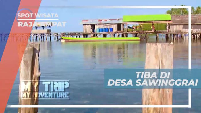 Tiba di Desa Sawinggrai Raja Ampat Untuk Melihat Cendrawasih