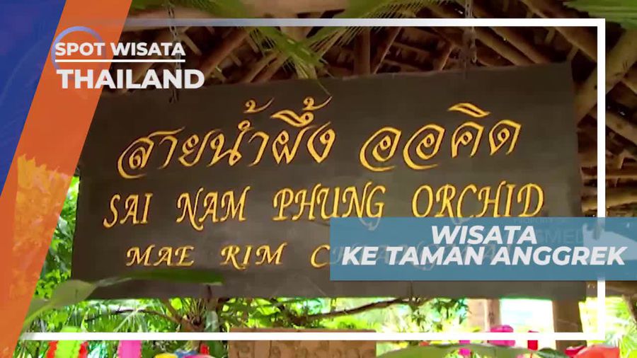 Sai Na Phung Orchid, Wisata Taman Anggrek di Thailand