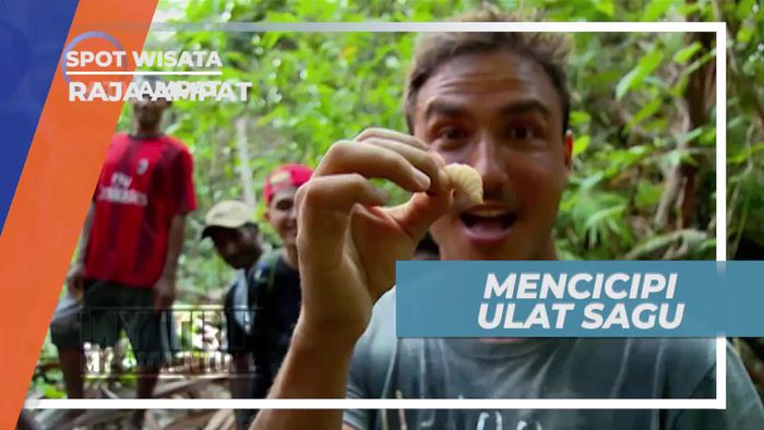Mencicipi Cita Rasa Unik Ulat Sagu, Raja Ampat