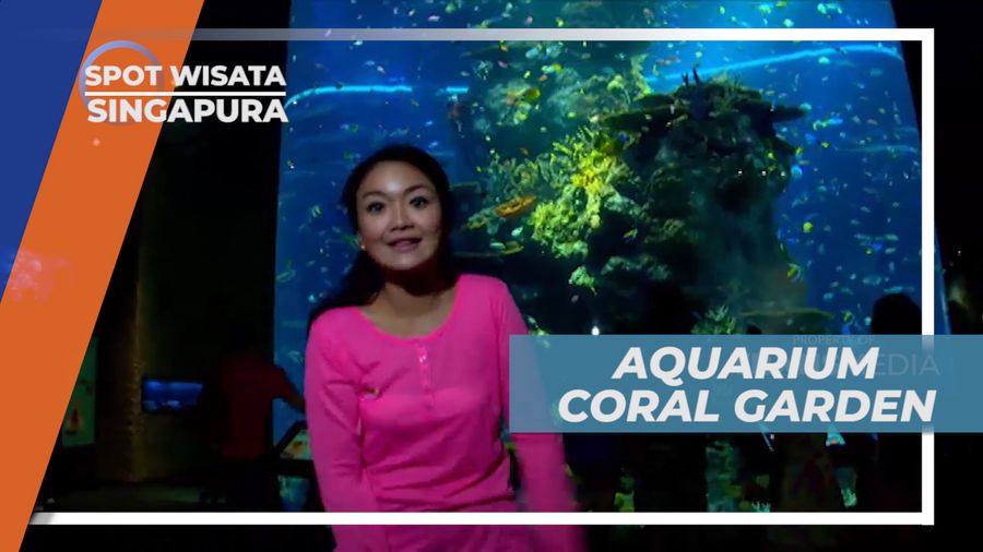 Uniknya Aquarium Coral Garden Berisi Cantiknya Ikan yang Berwarna-warni , Singapura