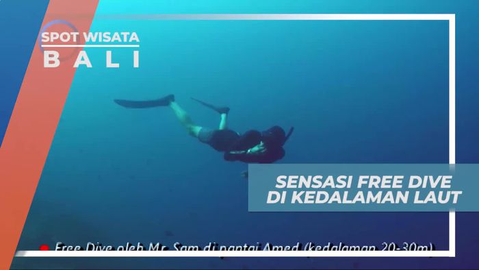 Sensasi Menegangkan Free Dive di Kedalaman Laut Bali