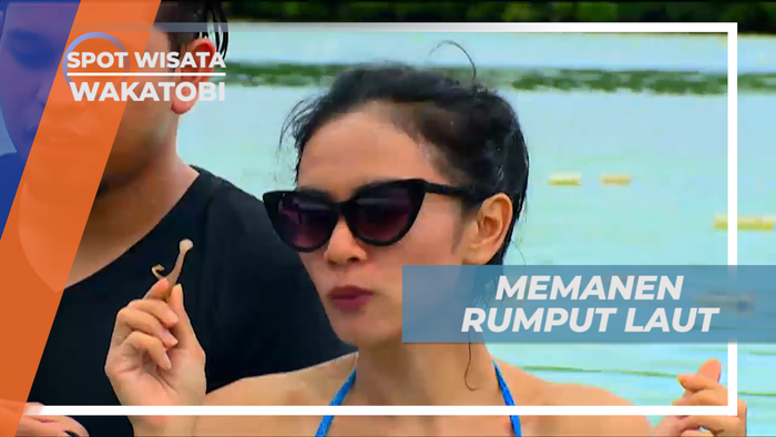 Pengalaman Seru Memanen Rumput Laut di Wangiwangi Island, Wakatobi