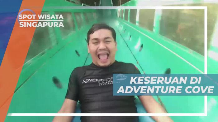 Berkunjung ke Adventure Cove, Taman Air Megah di Singapura