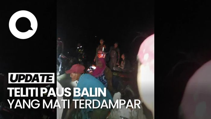 7,5 Jam Terjebak Lumpur, Tim Peneliti FKH Unair Akhirnya Sukses Dievakuasi