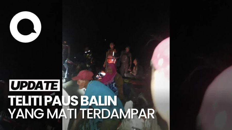 7,5 Jam Terjebak Lumpur, Tim Peneliti FKH Unair Akhirnya Sukses Dievakuasi