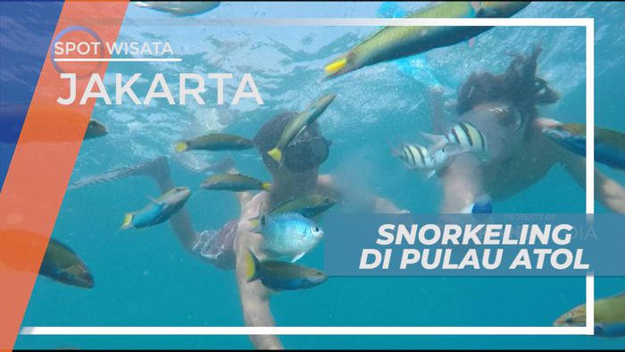 Mengintip Eksotiknya Beragam Biota Laut di Pulau Atol, Jakarta