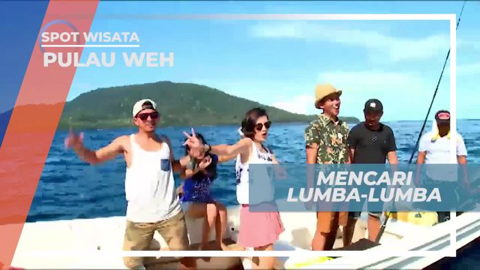 Mencari Kawanan Lumba-lumba di Pulau Weh