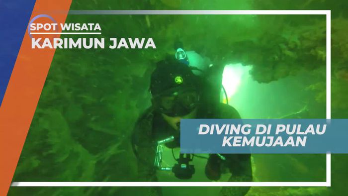 Diving Menikmati Keindahan Bawah Laut Pulau Kamujaan Karimun Jawa 