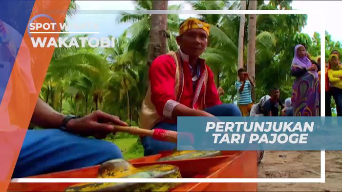 Melihat Gerakan Tari Pajoge di Wakatobi 