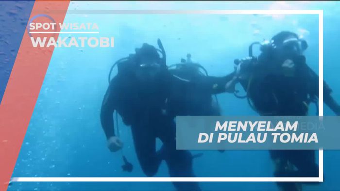 Diving Menikmati Keindahan Bawah Laut Pulau Tomia Wakatobi 