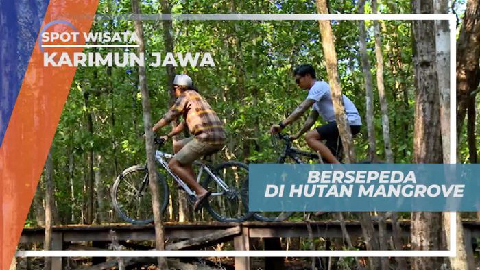 Bersepeda Menyusuri Hutan Mangrove di Karimun Jawa
